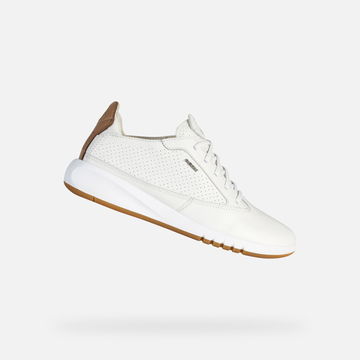 geox sneakers white