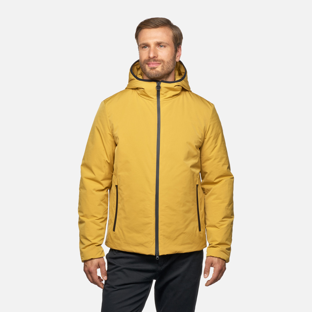 GEOX Vêtements Spherica Homme Jaune Moutarde