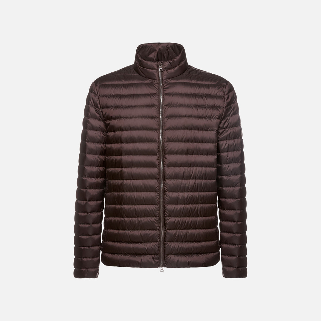 GEOX Vêtements Warrens Homme Marron Foncé