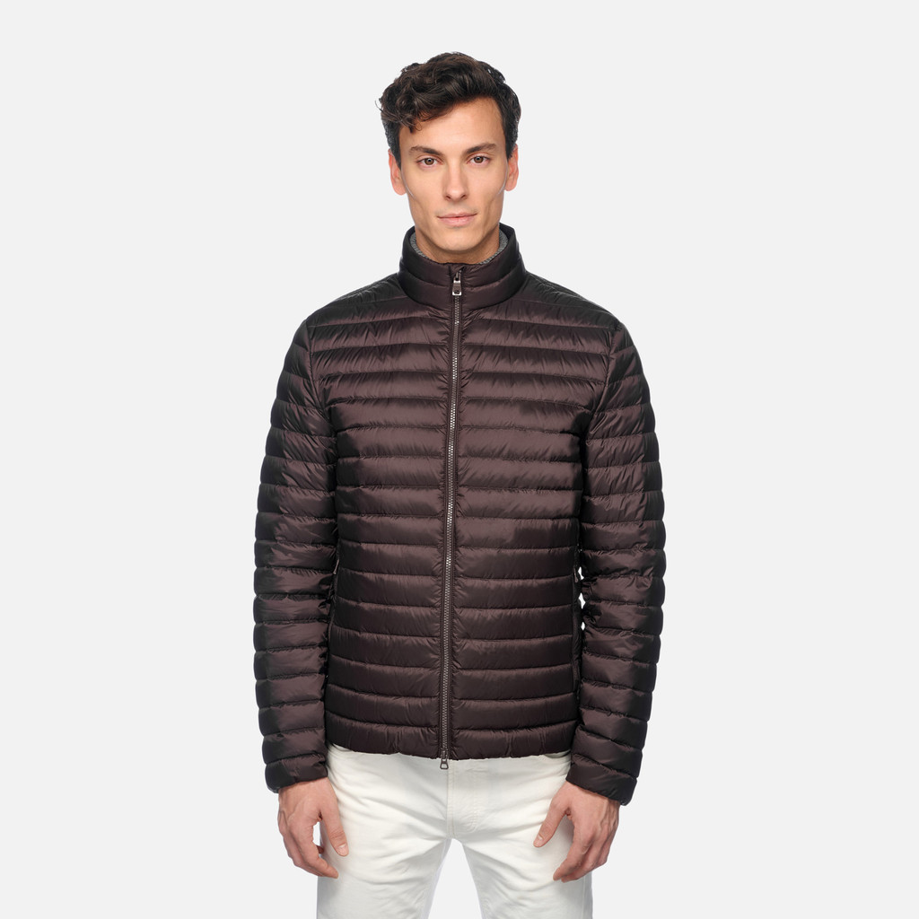 GEOX Vêtements Warrens Homme Marron Foncé