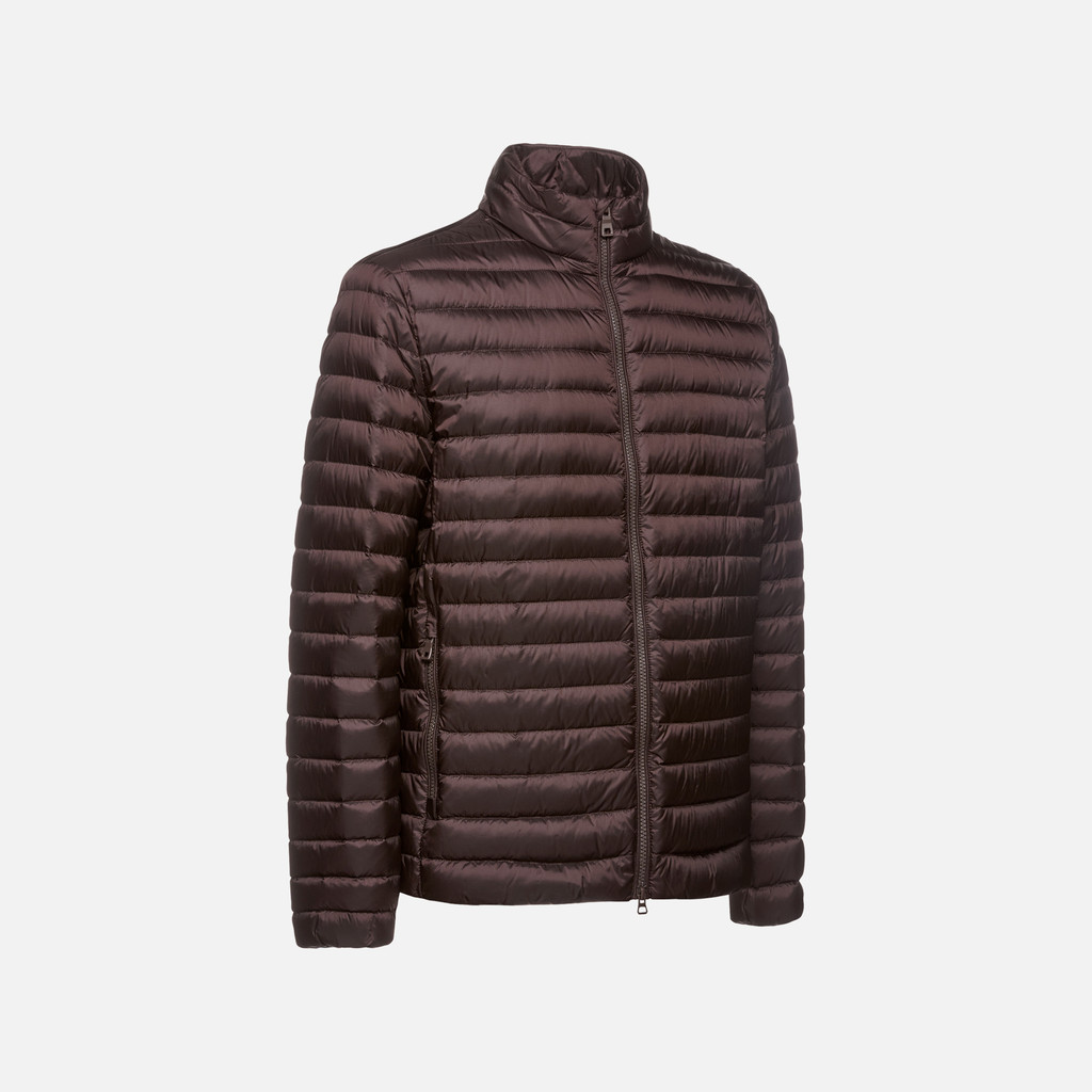 GEOX Vêtements Warrens Homme Marron Foncé