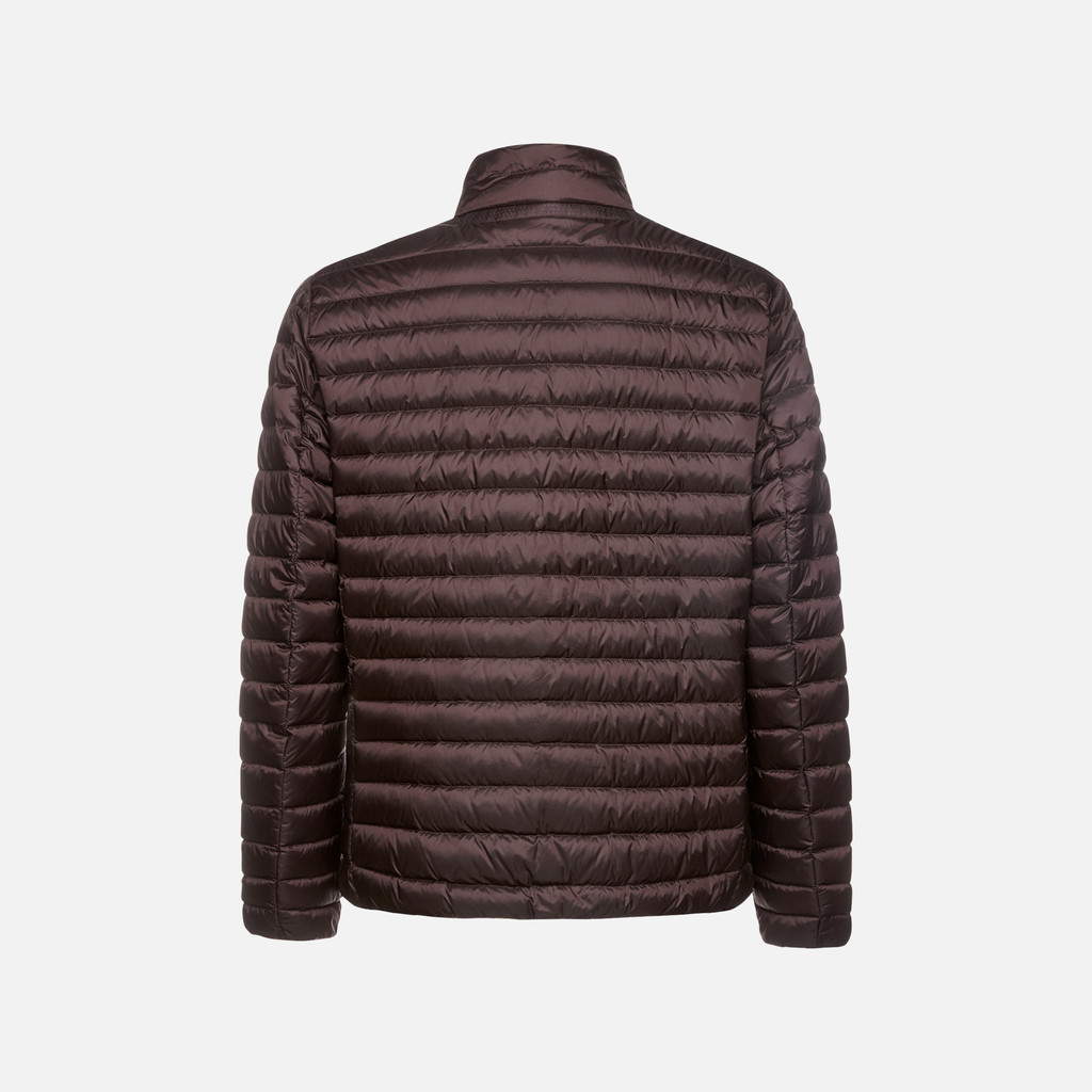 GEOX Vêtements Warrens Homme Marron Foncé