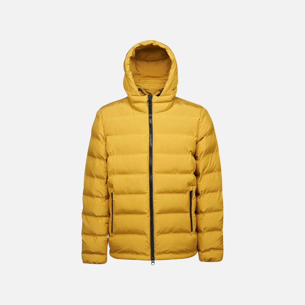 GEOX Vêtements Spherica Homme Jaune Moutarde