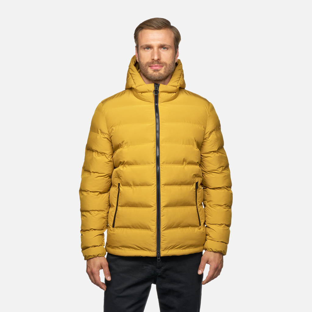 GEOX Vêtements Spherica Homme Jaune Moutarde