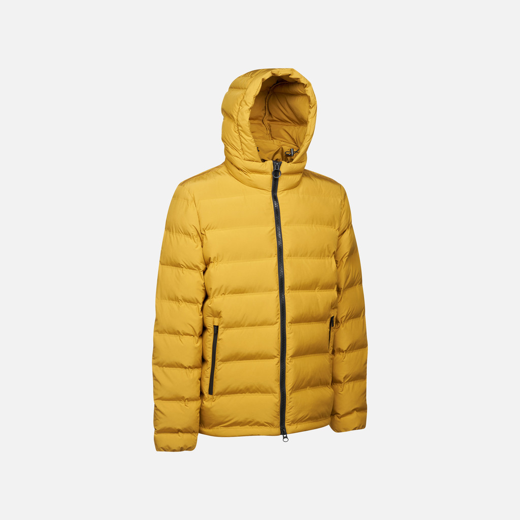 GEOX Vêtements Spherica Homme Jaune Moutarde