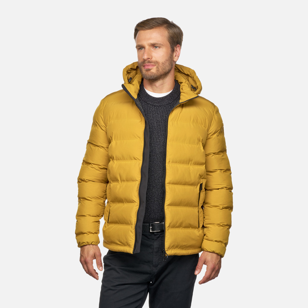 GEOX Vêtements Spherica Homme Jaune Moutarde