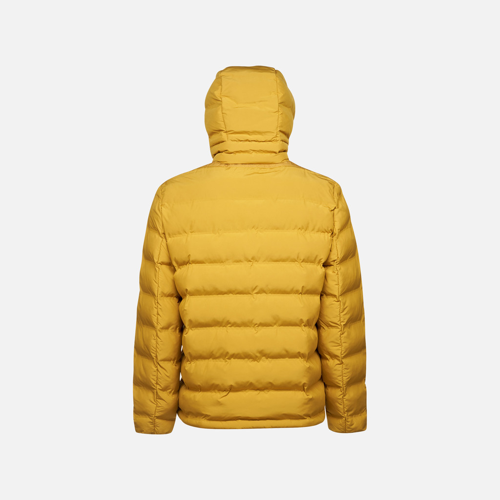 GEOX Vêtements Spherica Homme Jaune Moutarde