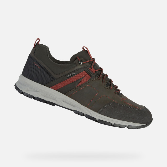 Geox® DELRAY ABX Hombre: Sneakers Café oscuro | Geox®