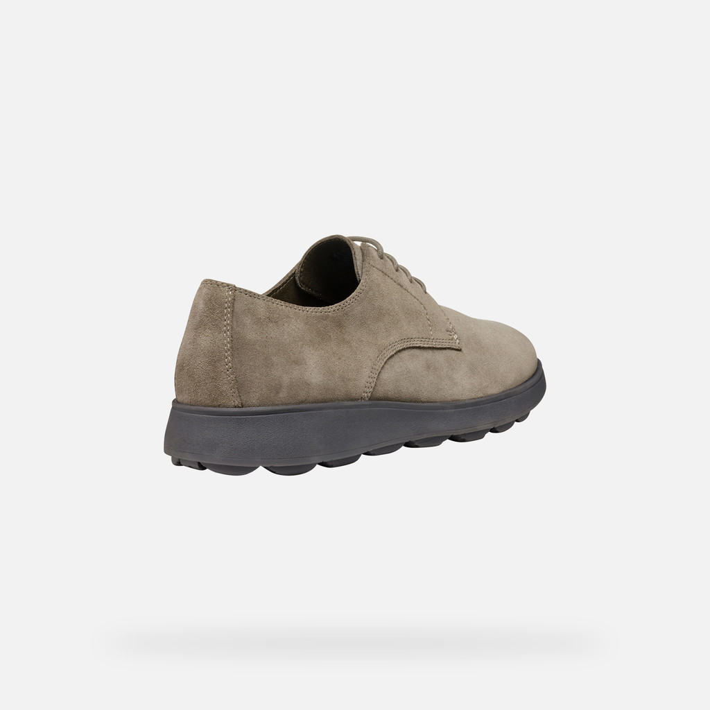 GEOX Spherica Ec10 Homme Taupe