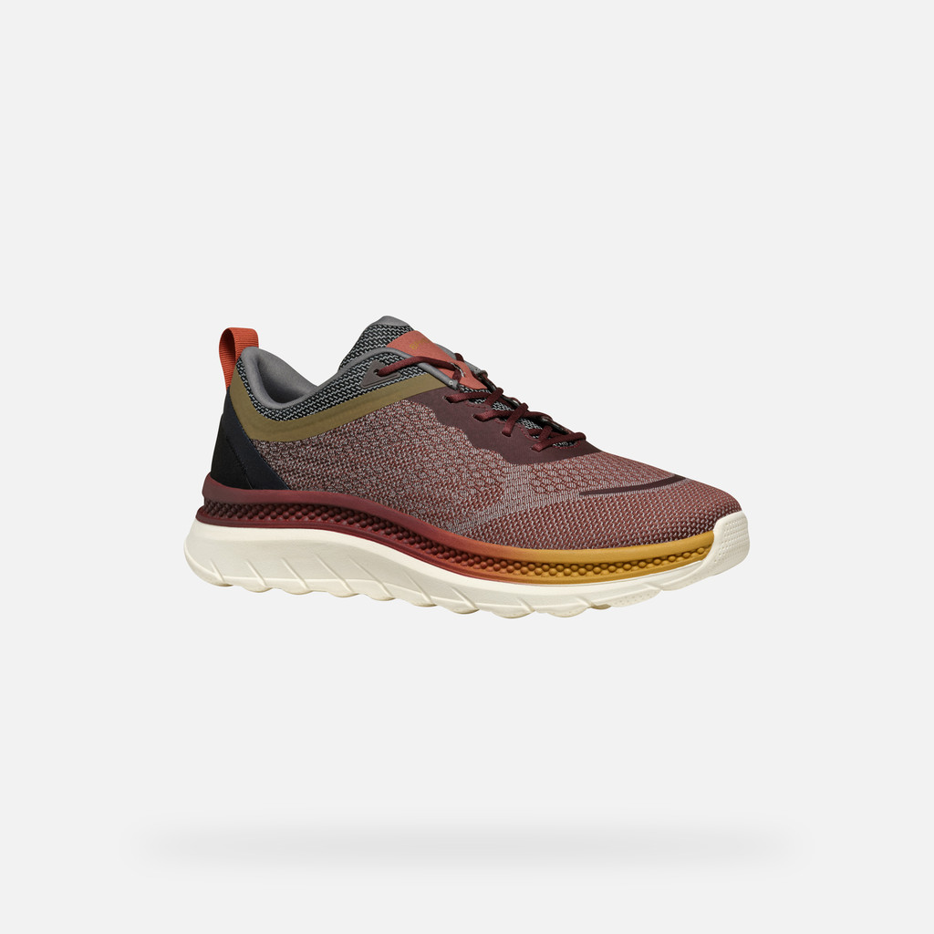 GEOX Spherica Actif X Homme Bordeaux/brun Foncé