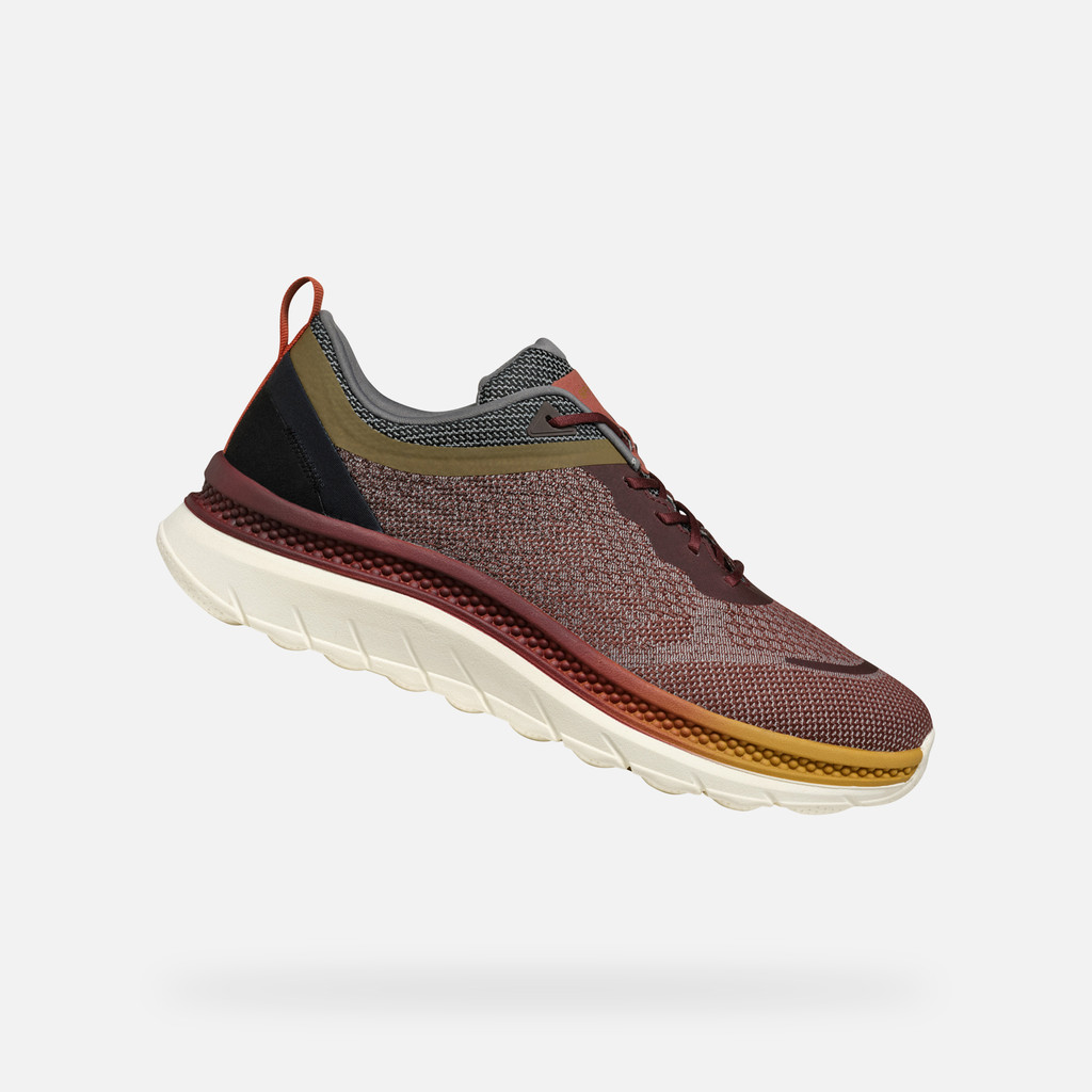 GEOX Spherica Actif X Homme Bordeaux/brun Foncé