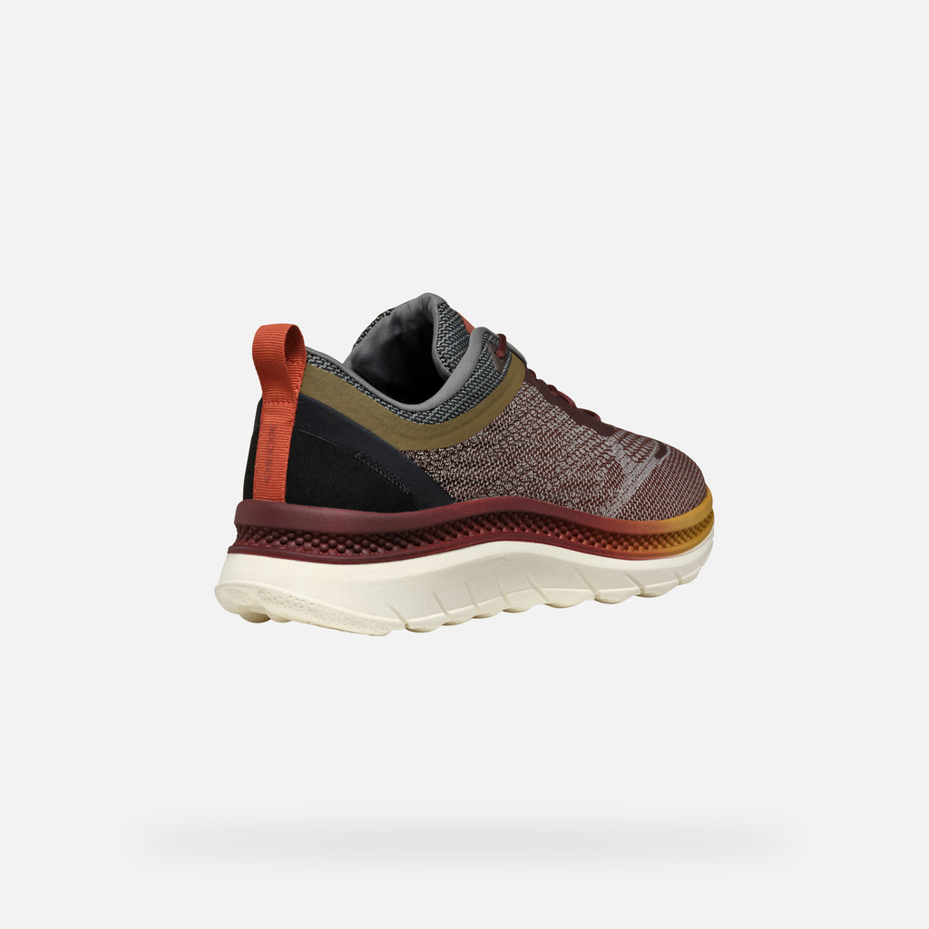 GEOX Spherica Actif X Homme Bordeaux/brun Foncé