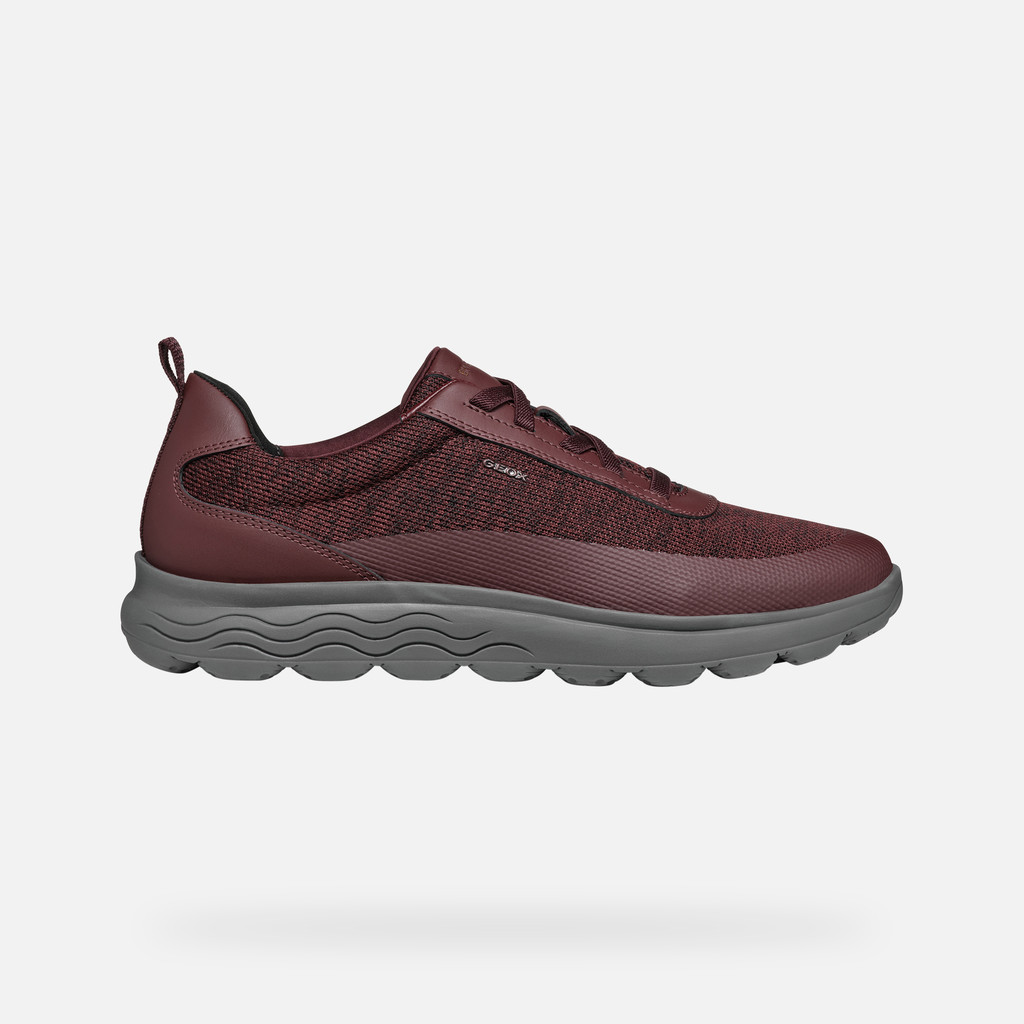 GEOX Spherica Homme Bordeaux