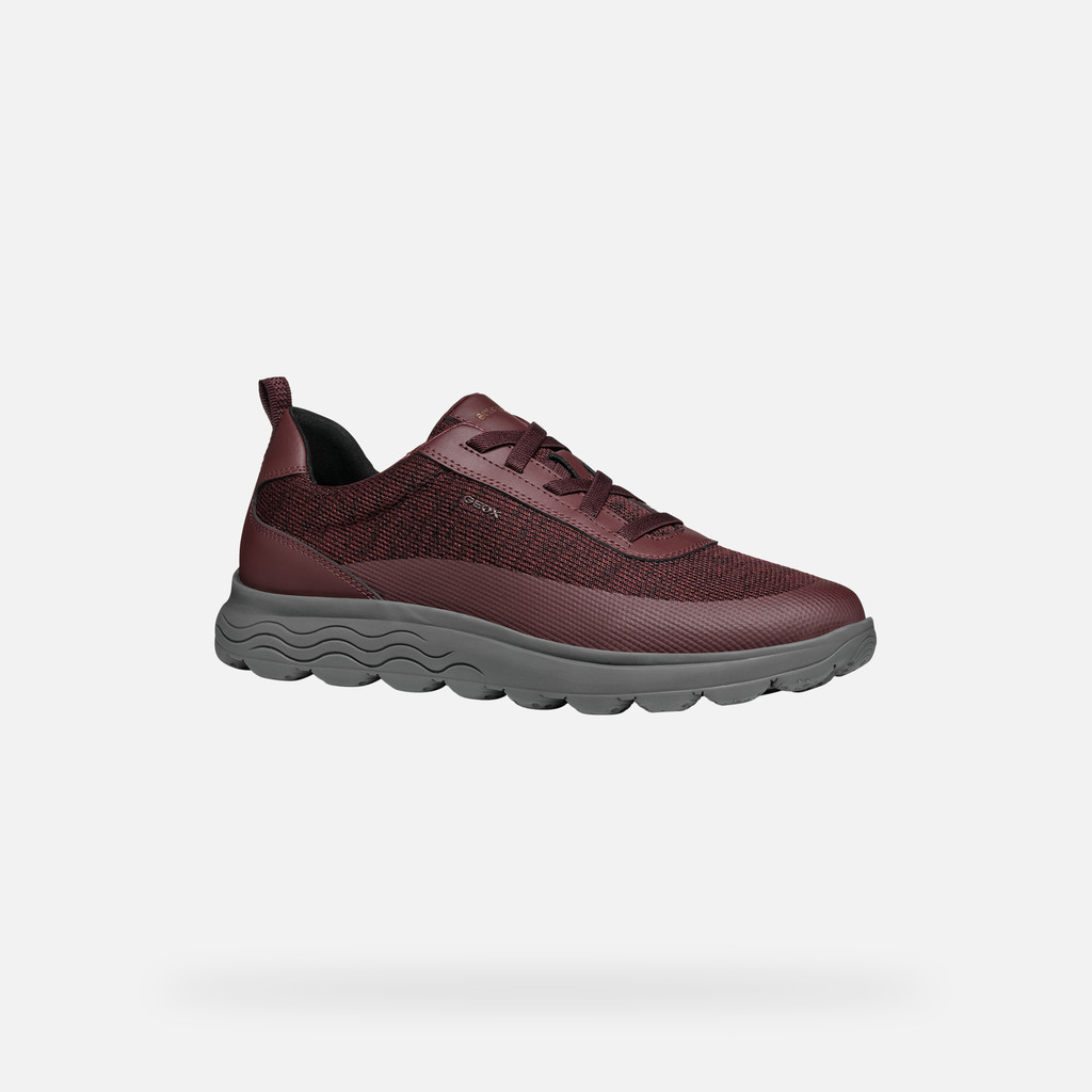 GEOX Spherica Homme Bordeaux