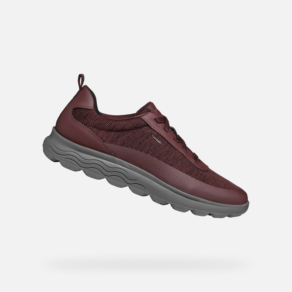 GEOX Spherica Homme Bordeaux