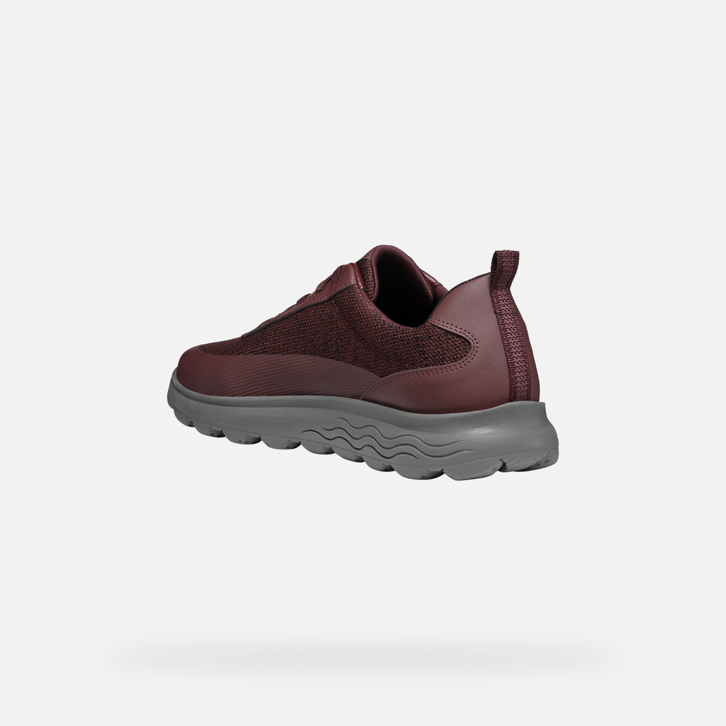 GEOX Spherica Homme Bordeaux