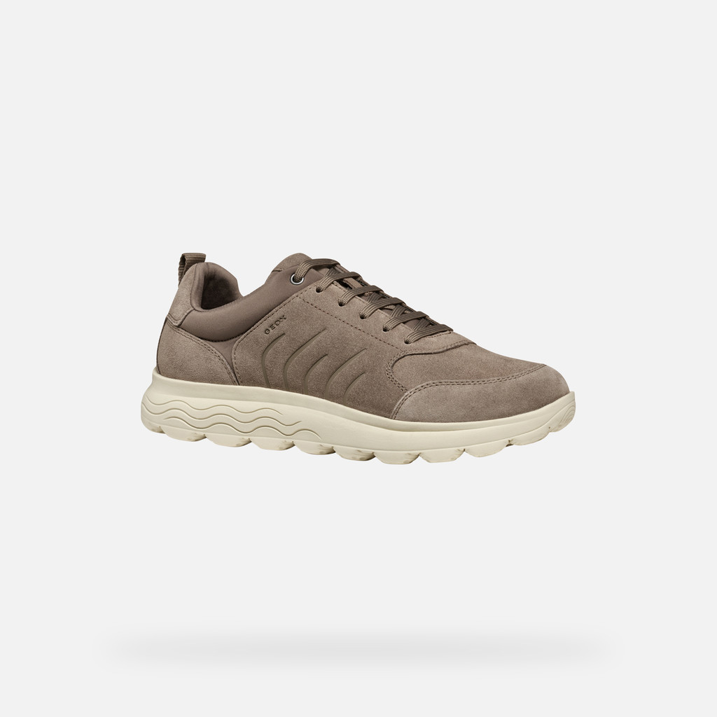 GEOX Spherica Homme Taupe