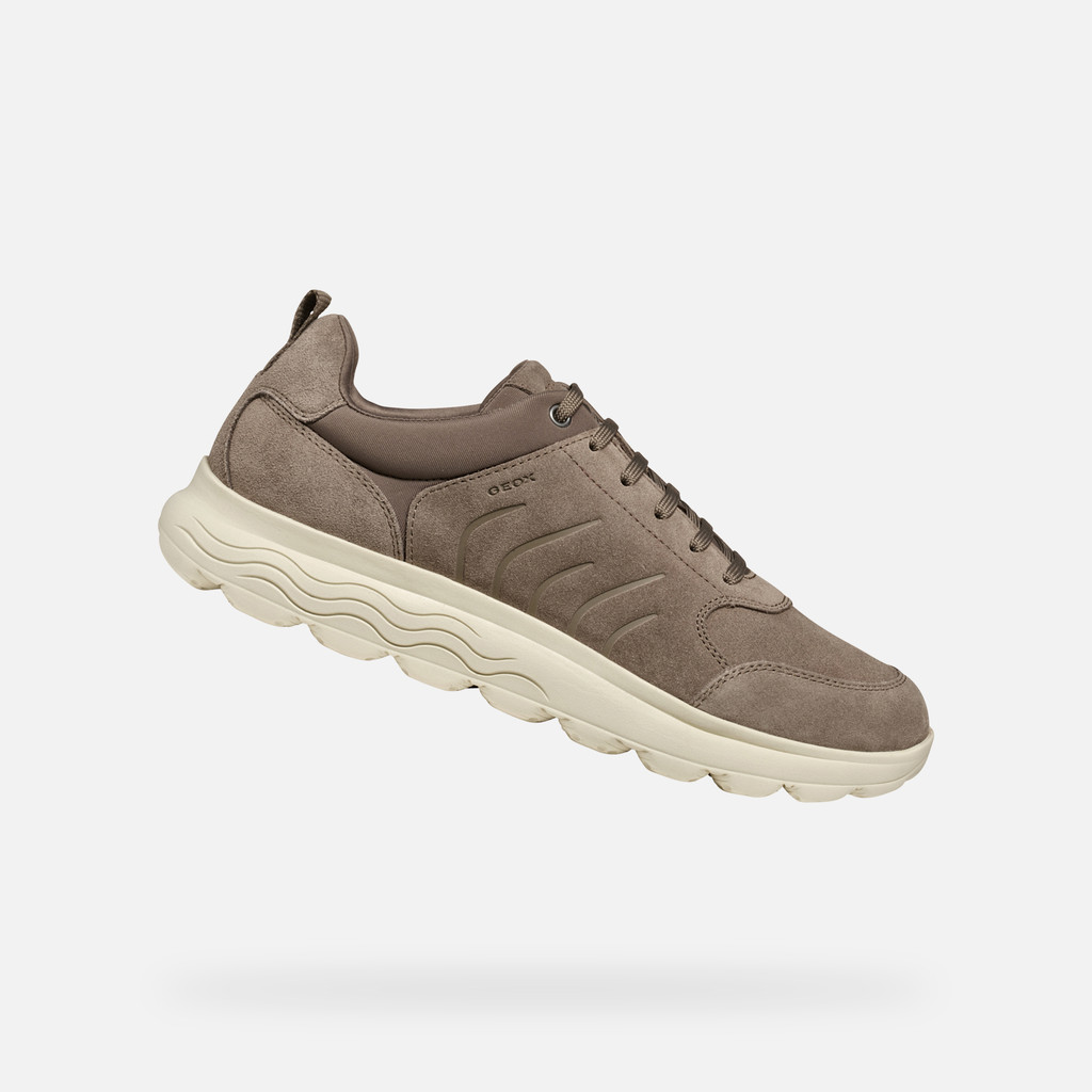 GEOX Spherica Homme Taupe