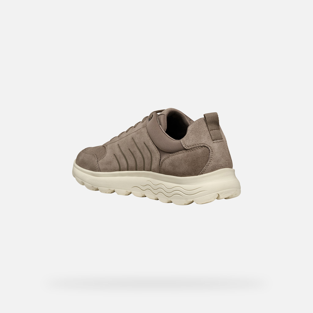 GEOX Spherica Homme Taupe