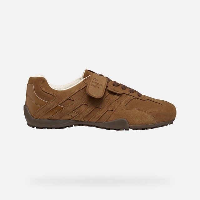 GEOX Snake Homme Noisette