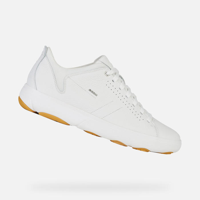 Geox® Y Man: White Sneakers | Geox®