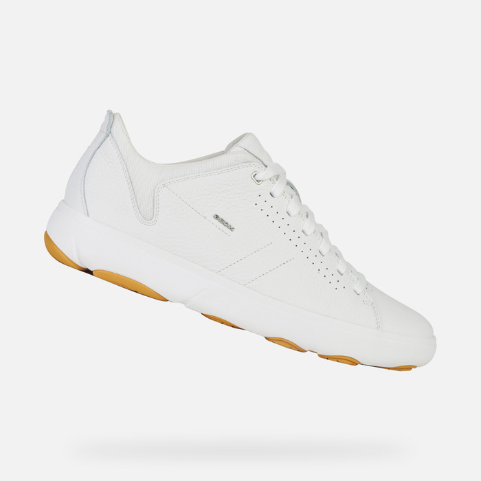 bloemblad Te voet Susteen Geox® NEBULA Y Man: White Sneakers | Geox® Nebula