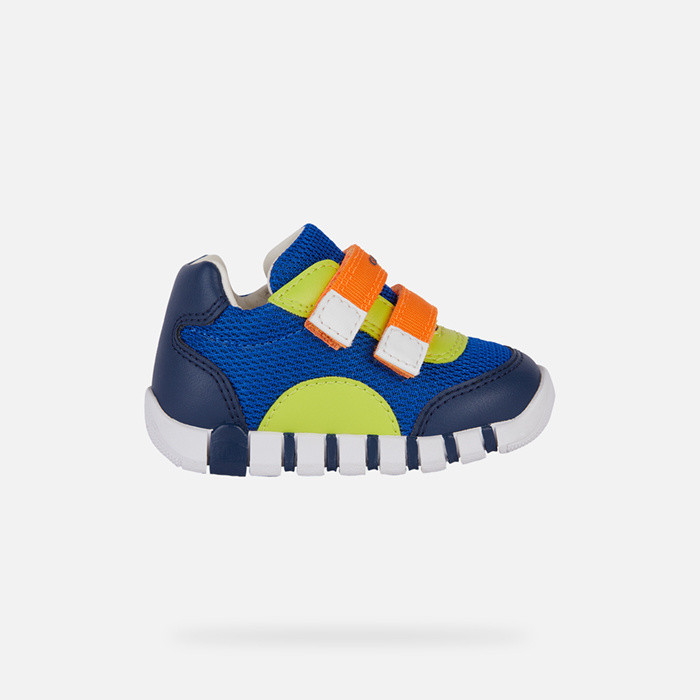 Sneakers à scratch IUPIDOO PETIT GARÇON Bleu roi/Orange | GEOX