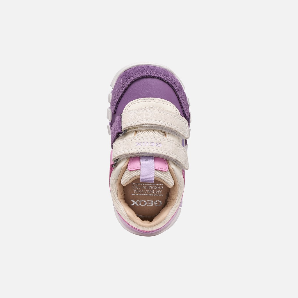 Toddler velcro shoes IUPIDOO BABY Light ivory/Prune - image number 5 | GEOX