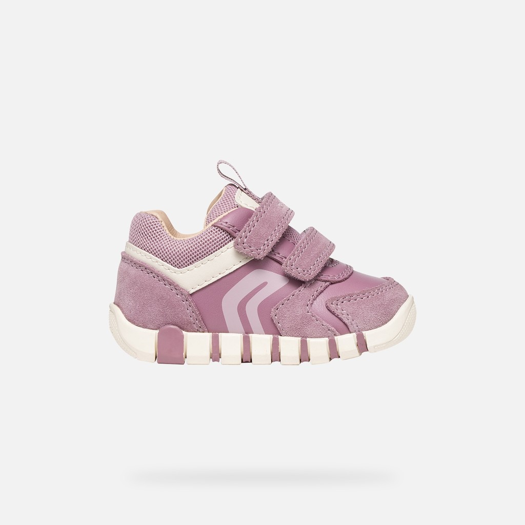 Toddler velcro shoes IUPIDOO BABY Light Prune - image number 1 | GEOX