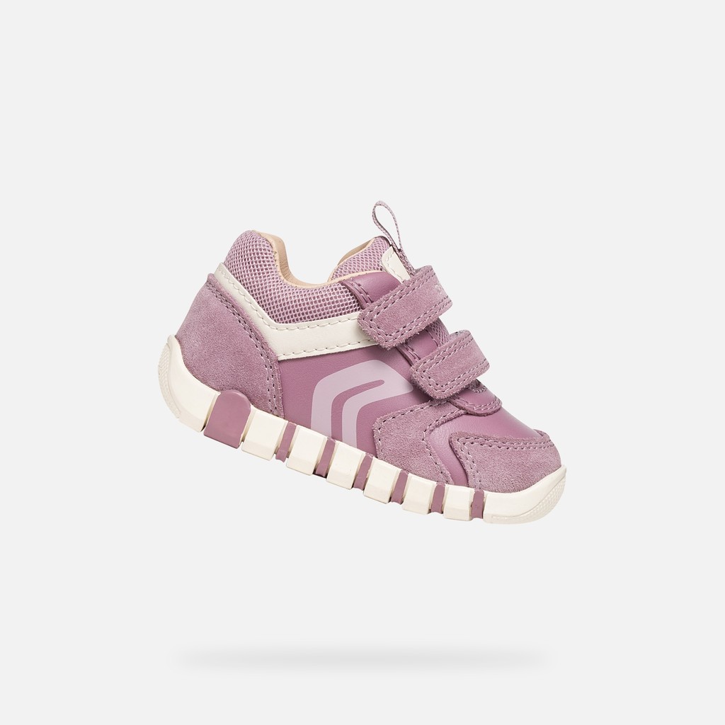 Toddler velcro shoes IUPIDOO BABY Light Prune - image number 0 | GEOX