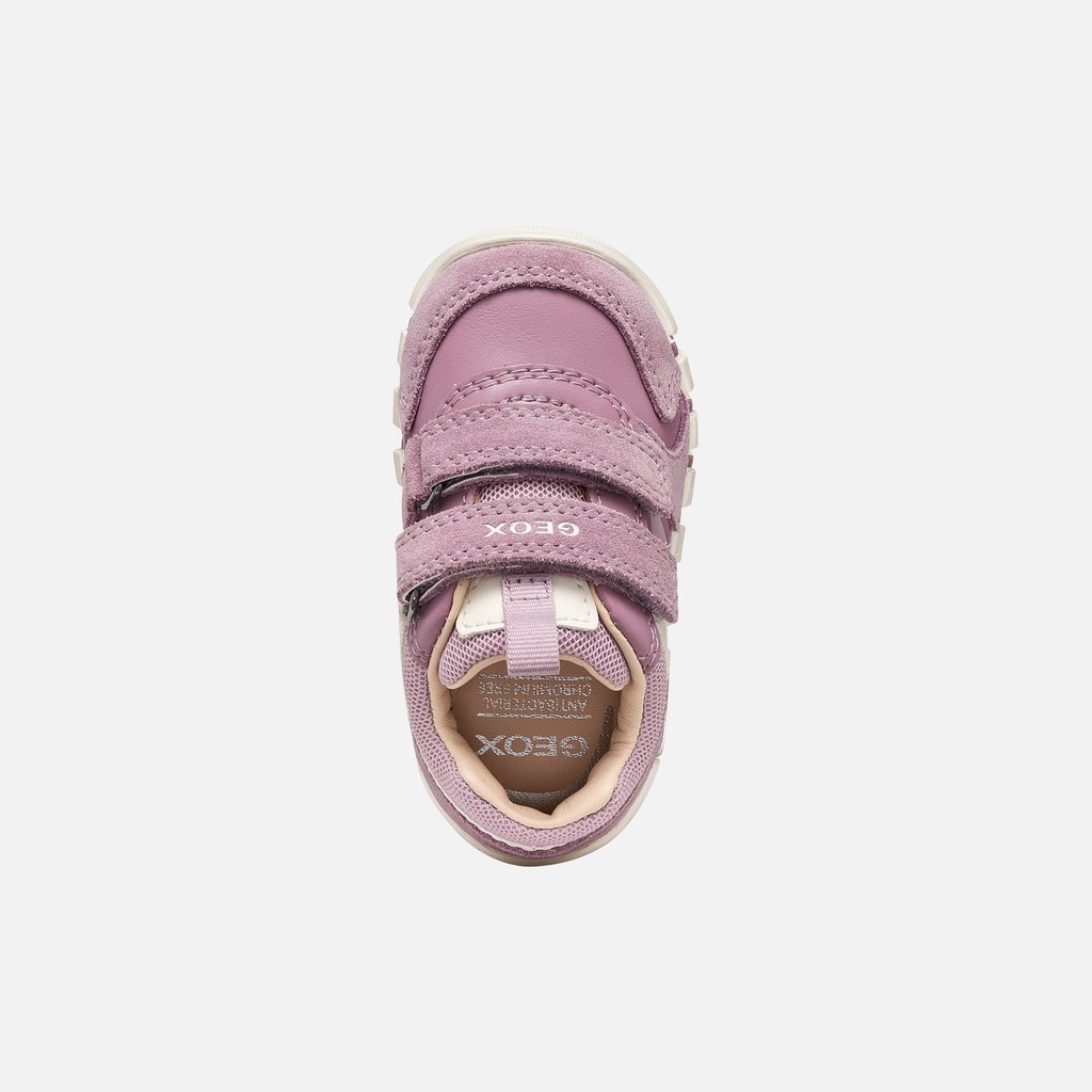 Toddler velcro shoes IUPIDOO BABY Light Prune - image number 5 | GEOX