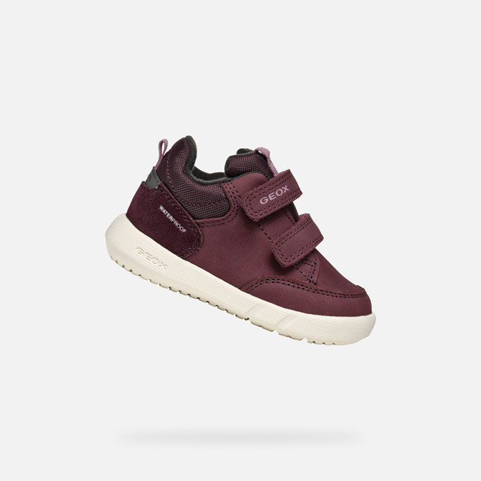 Sneakers basse HYROO   BABY Bordeaux/Rosa | GEOX