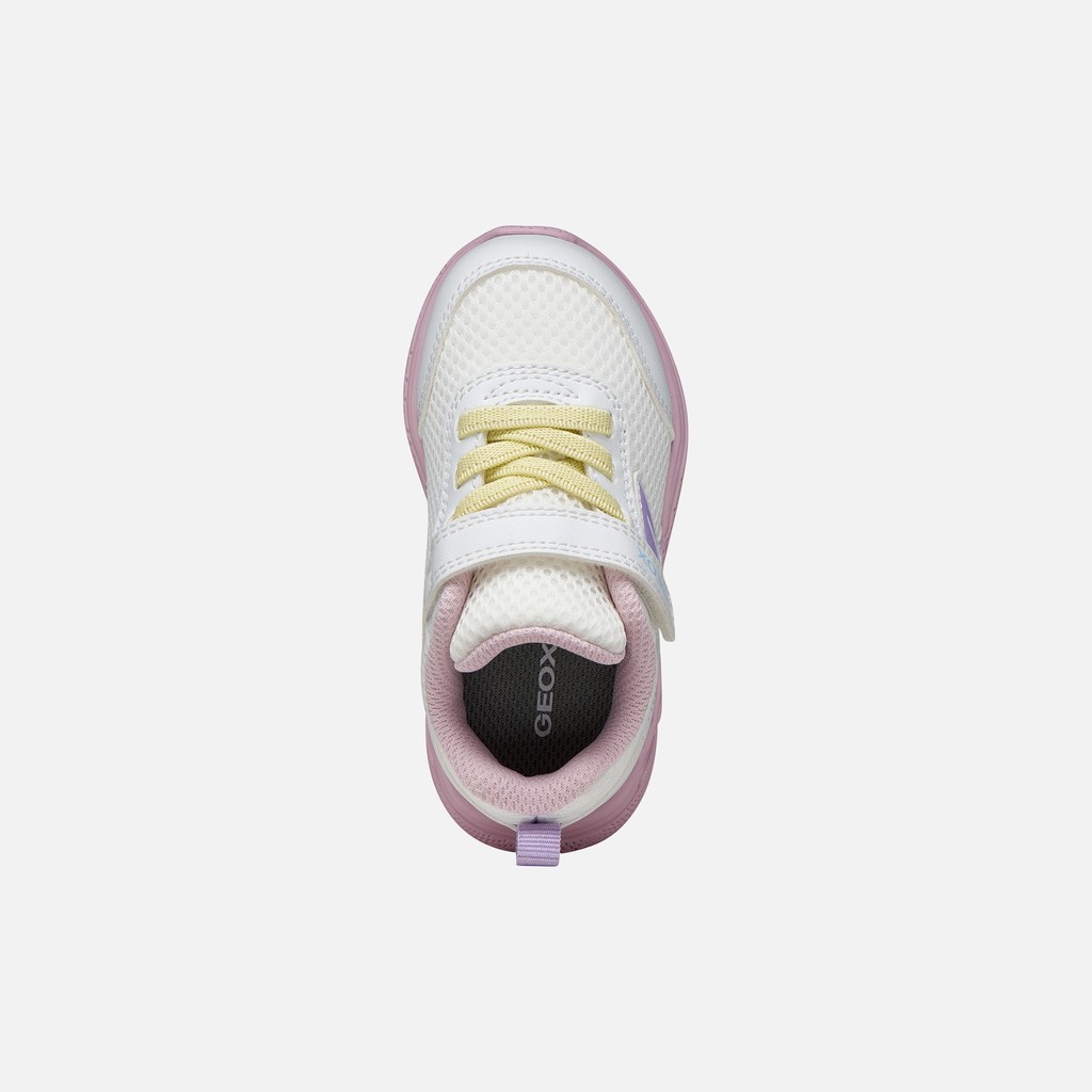 Low top sneakers SPRINTYE BABY White/Pink - image number 5 | GEOX