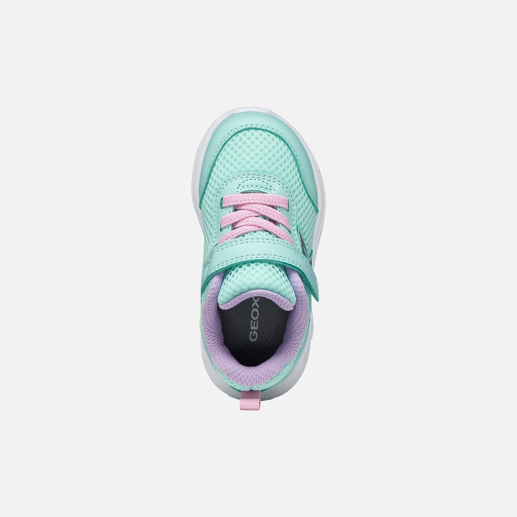 Low top sneakers SPRINTYE BABY Sea Green/Pink - image number 5 | GEOX