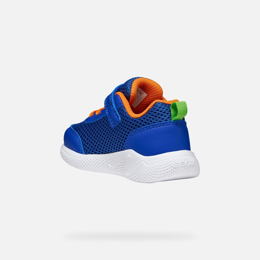 Low top sneakers SPRINTYE BABY Royal/Orange - image number 3 | GEOX