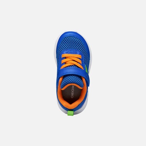 Low top sneakers SPRINTYE BABY Royal/Orange - image number 5 | GEOX