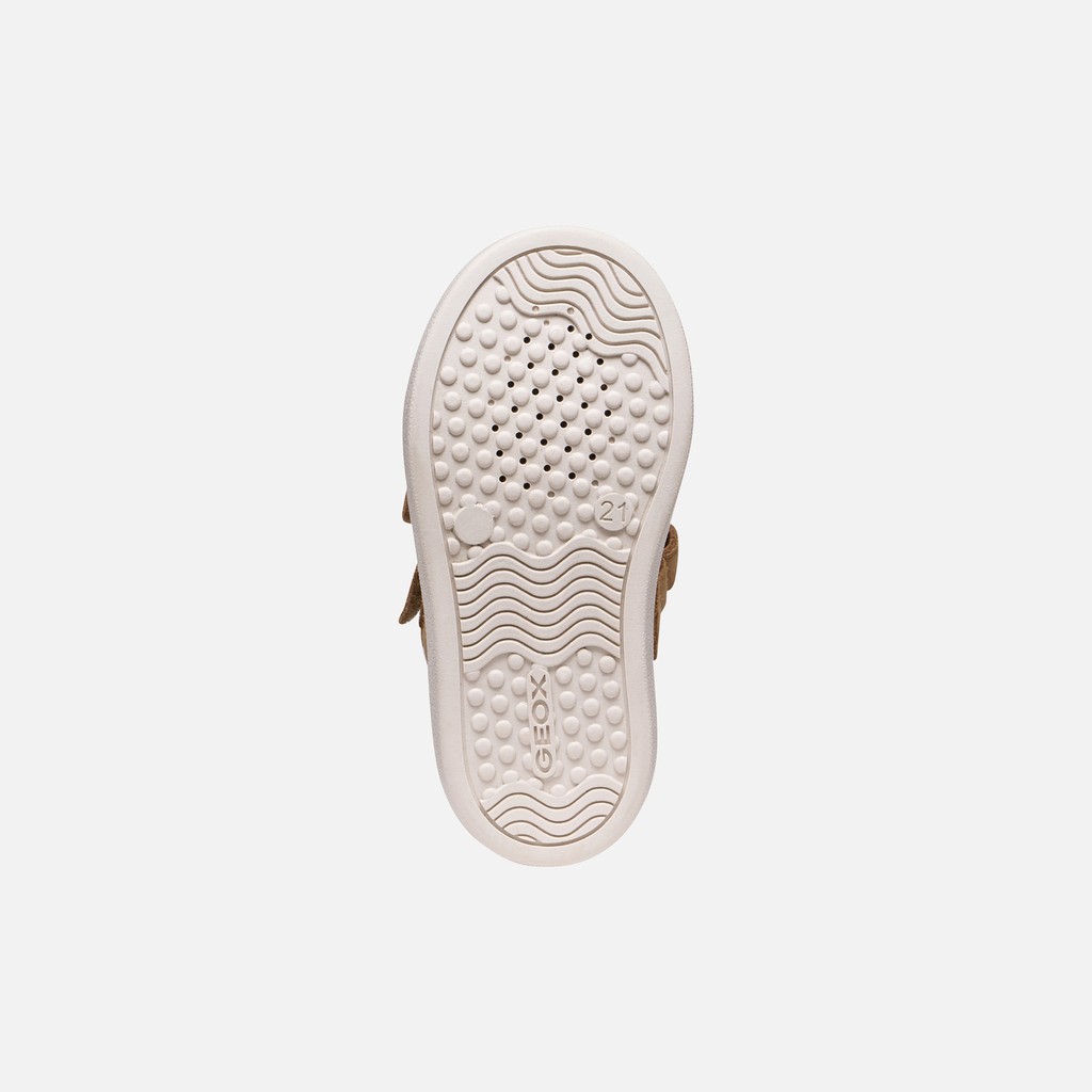 Velcro shoes NASHIK   TODDLER GIRL Whisky - image number 6 | GEOX