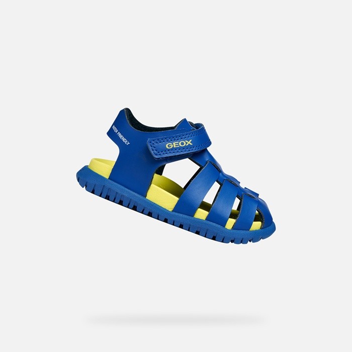 Closed toe sandals SANDAL FUSBETTO   BABY Royal/Lime | GEOX