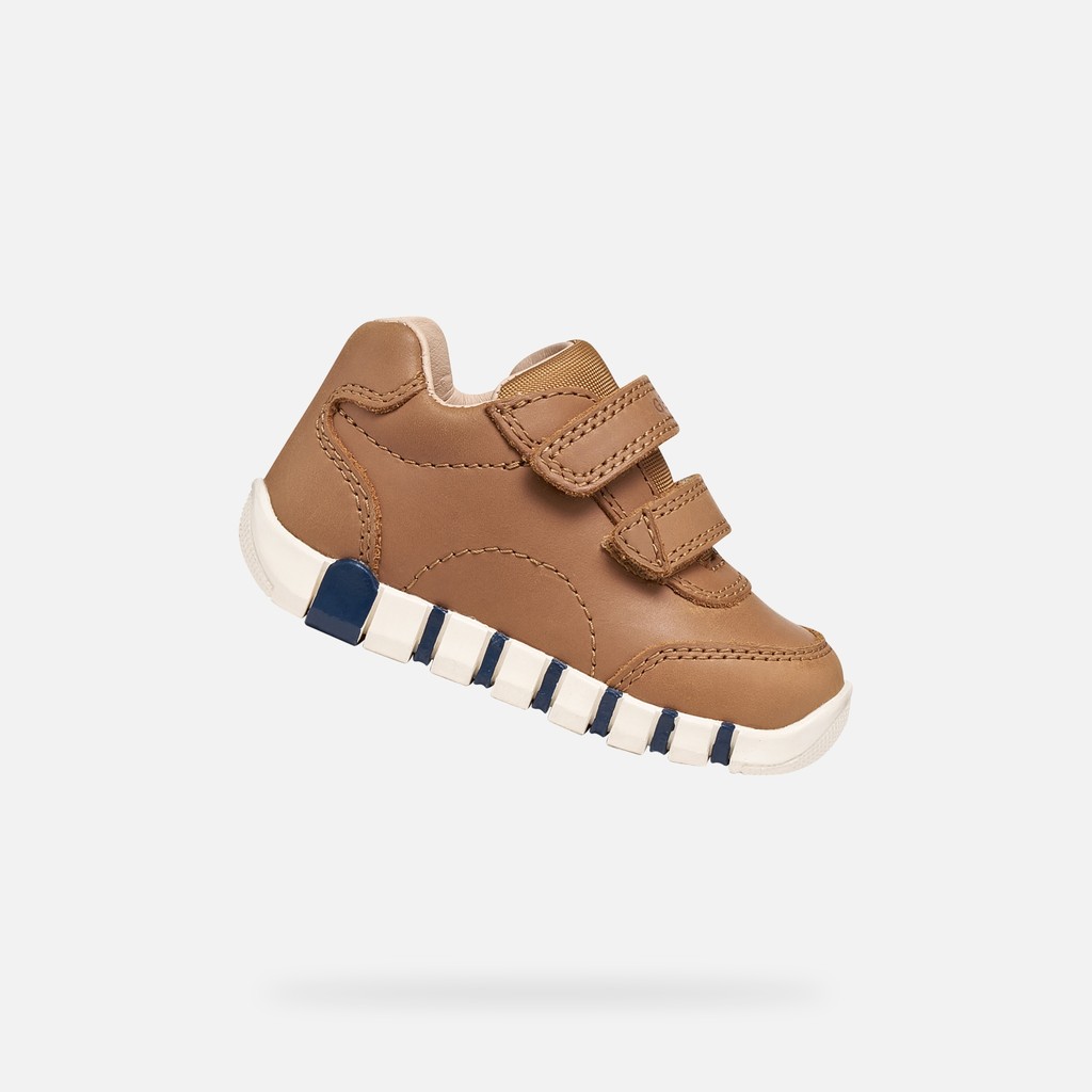 Toddler velcro shoes IUPIDOO BABY BOY Whisky - image number 0 | GEOX