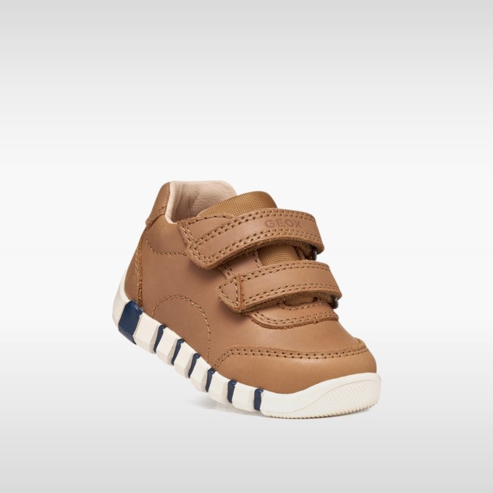 Toddler velcro shoes IUPIDOO BABY BOY Whisky | GEOX