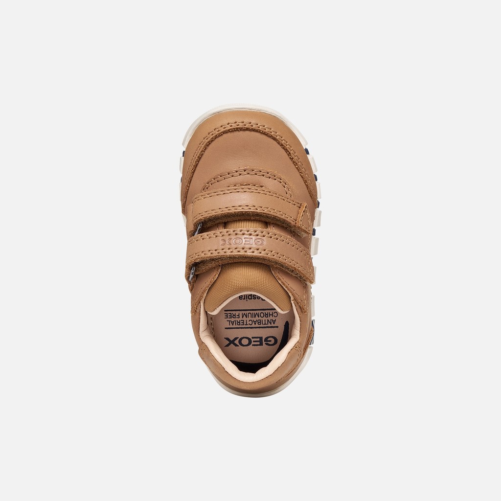 Toddler velcro shoes IUPIDOO BABY BOY Whisky - image number 5 | GEOX