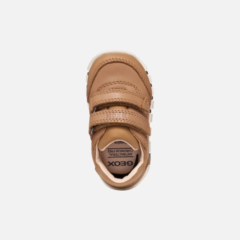 Toddler velcro shoes IUPIDOO BABY BOY Whisky - image number 5 | GEOX