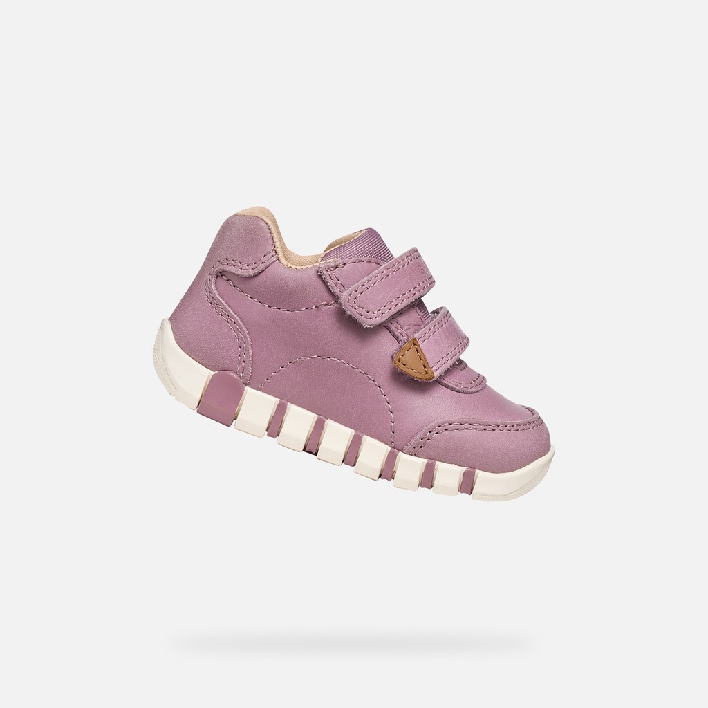 Toddler velcro shoes IUPIDOO BABY GIRL Light Prune - image number 0 | GEOX