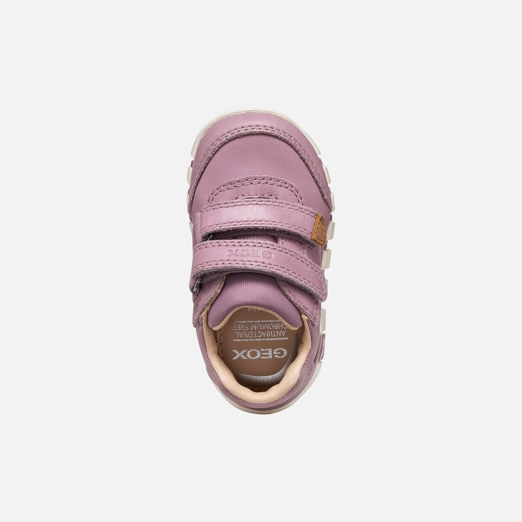 Toddler velcro shoes IUPIDOO BABY GIRL Light Prune - image number 5 | GEOX