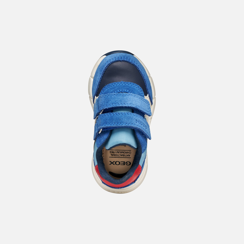 Sneakers with straps FLEXYPER MINI BABY Royal/Red - image number 5 | GEOX