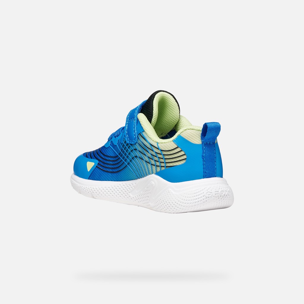 Velcro shoes SPRINTYE BABY Royal - image number 3 | GEOX