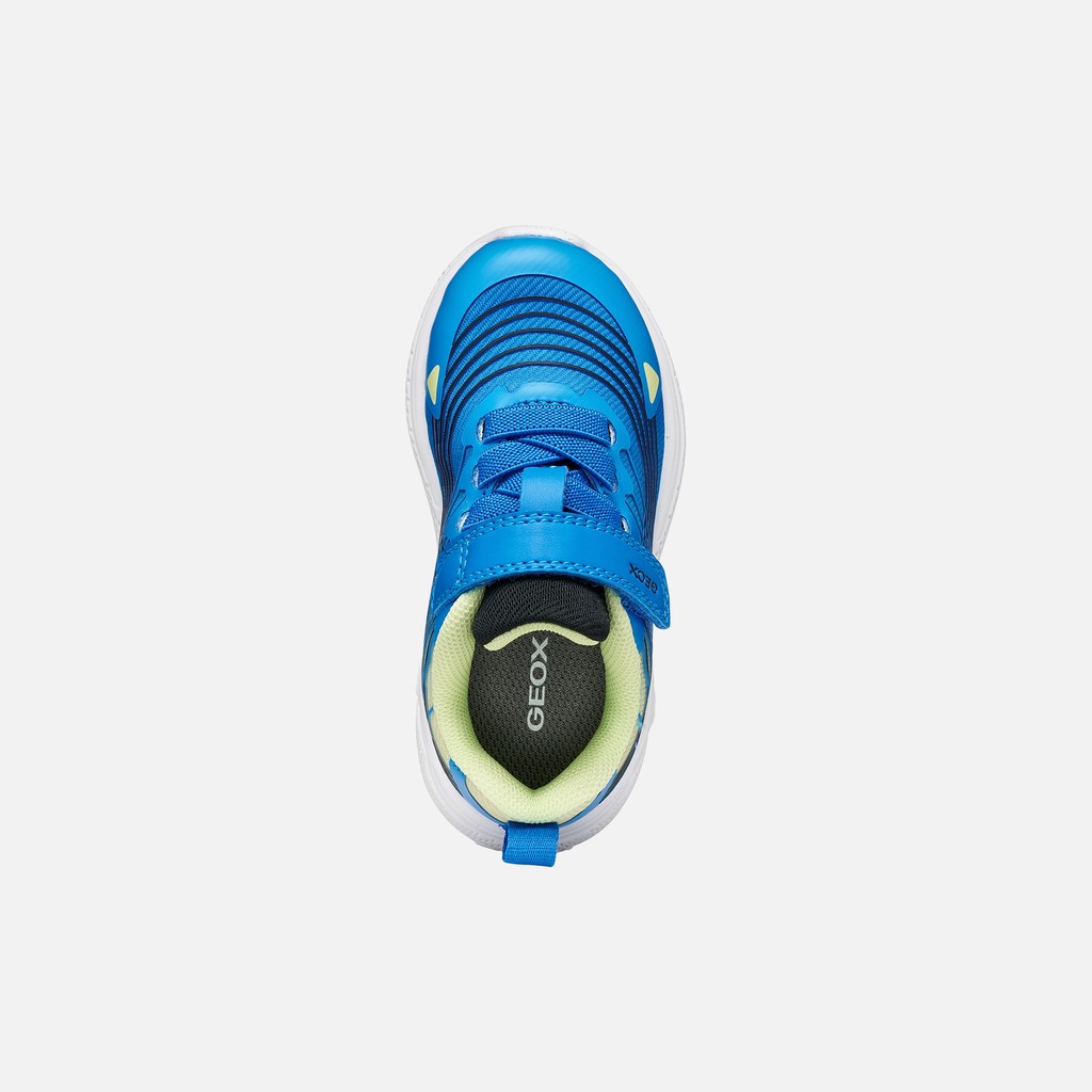 Velcro shoes SPRINTYE BABY Royal - image number 5 | GEOX
