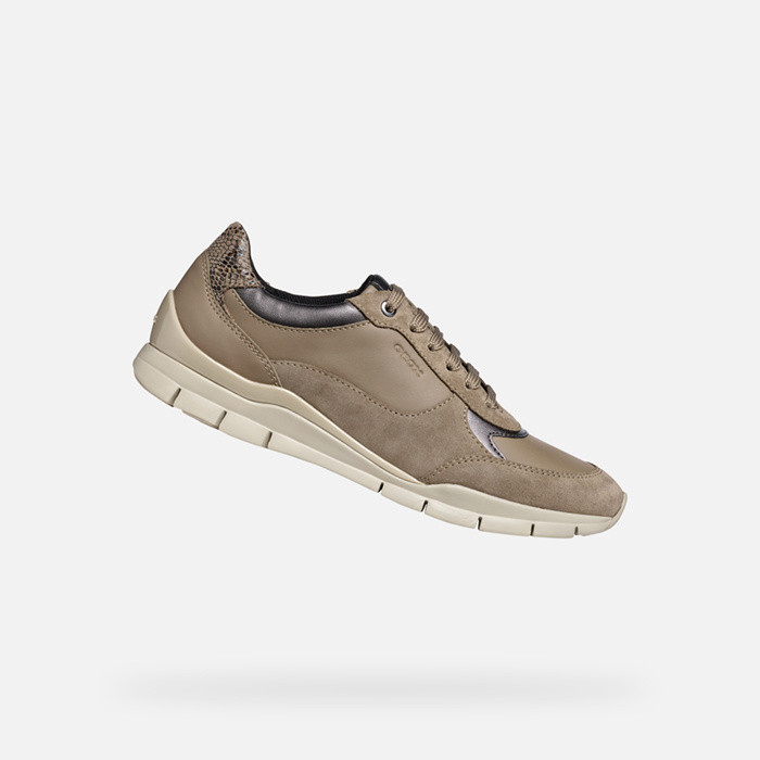 Low top sneakers SUKIE WOMAN Taupe | GEOX