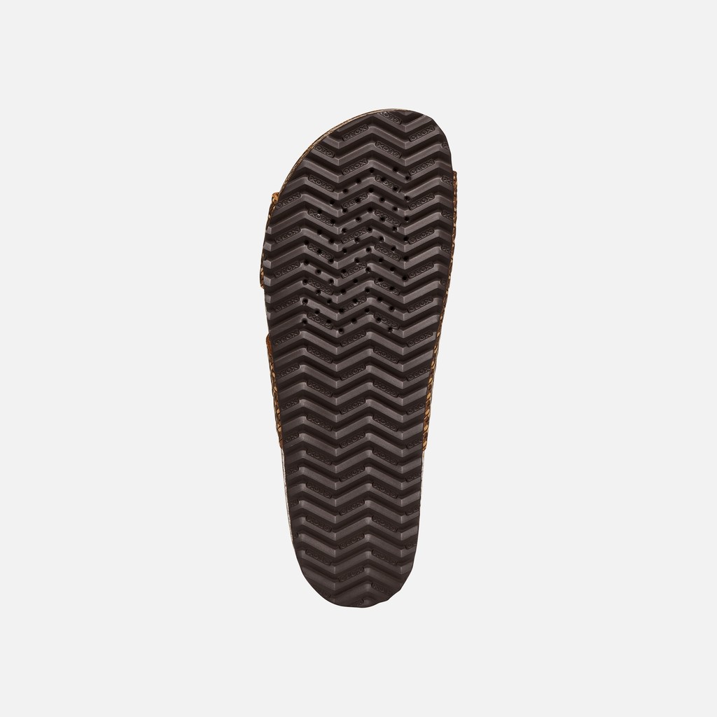 Slides shoes BRIONIA WOMAN Bronze - image number 6 | GEOX