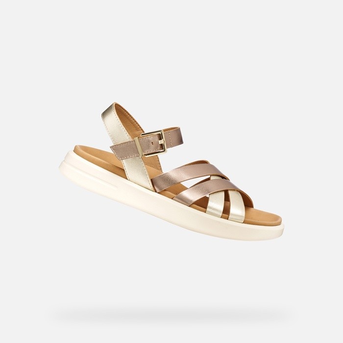 Flat sandals XAND 2S WOMAN Dark Beige/Light Gold | GEOX